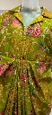 green2.webp