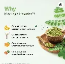 Moringa1.webp