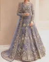 Emroidered Net Gown